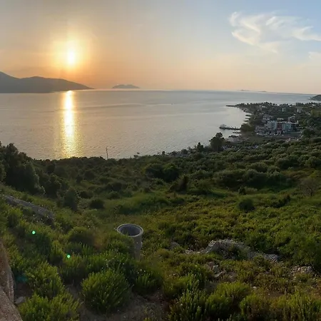 Artisti Radhime فلورا