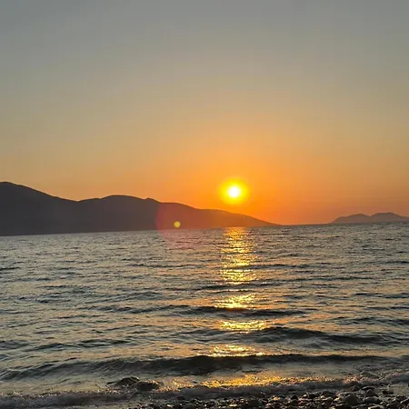 Artisti Radhime Vlorë